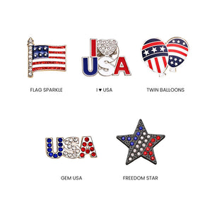 Fizz and Rizz by Yorkett Independence Day Theme Brooch Jewelry Mystery Box