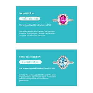 Fizz and Rizz by Yorkett 925 Sterling Silver Sized Ring Mystery Box