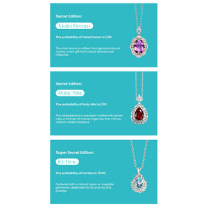 Fizz and Rizz 925 Sterling Silver Jewelry Mystery Box The Best Gift Idea For Her