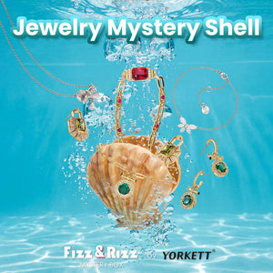 FizzandRizz by Yorkett Random Accessories Fine Jewelry Mystery Box