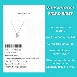 FizzandRizz by Yorkett Random Accessories Fine Jewelry Mystery Box