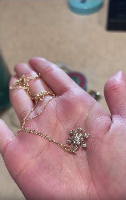 Fizzandrizz Christmas Jewelry Mystery Box